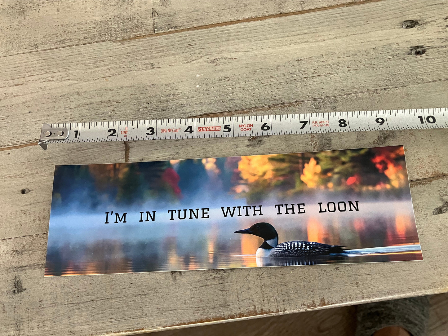 "I'm in tune with the loon" bumper sticker. Approx. 9.5 X 3 inches