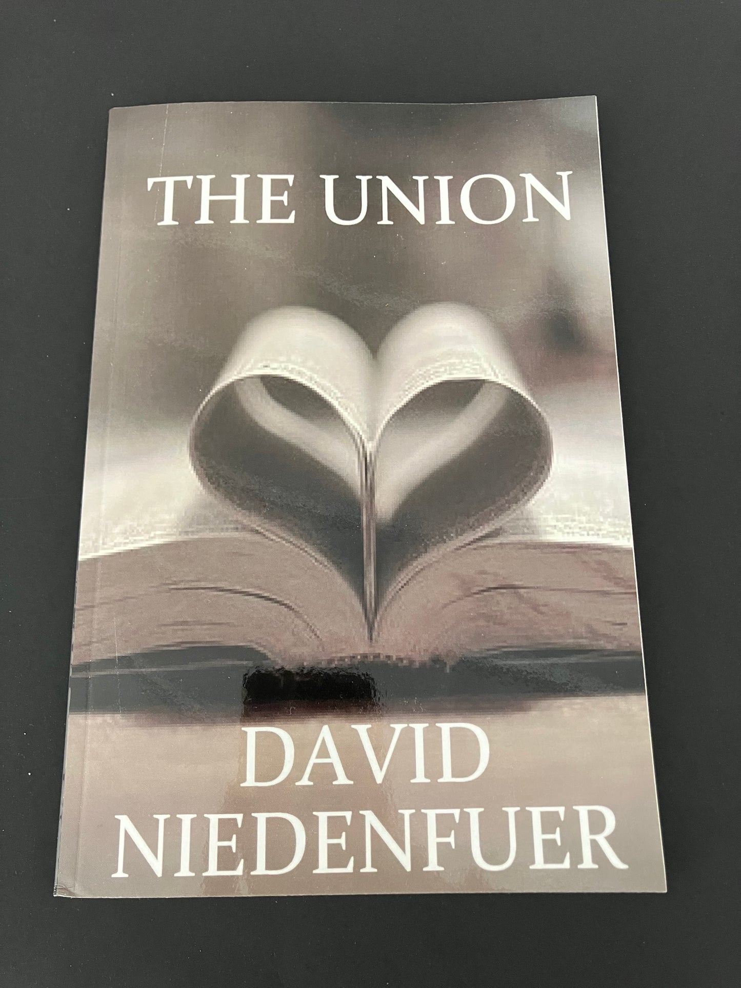 The Union by David Niedenfuer