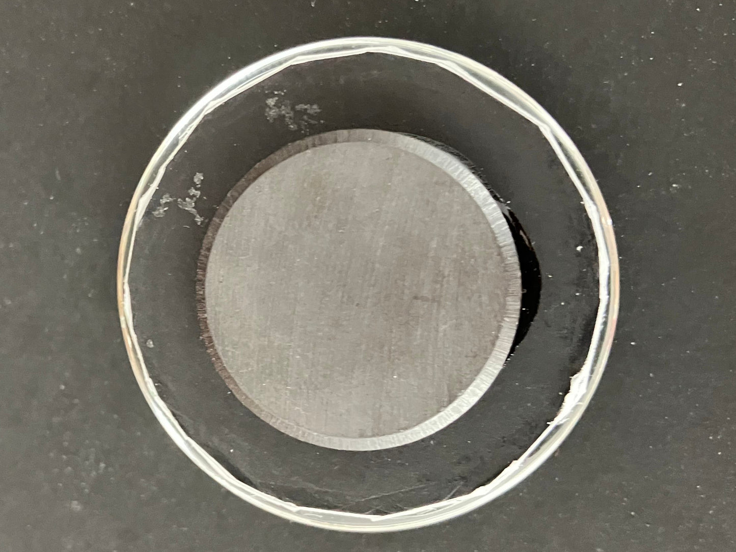 Magnet-1.57 in. diameter-Run Forest Run