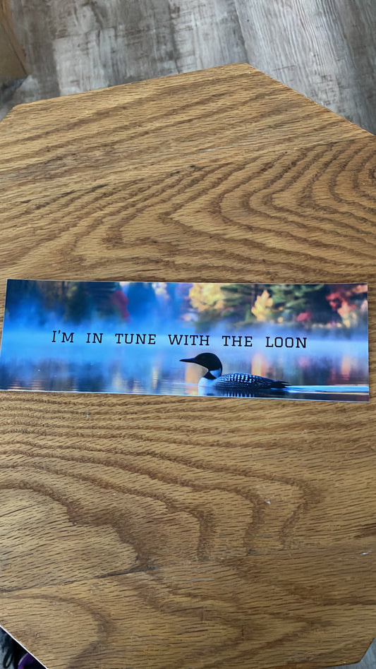 Loon Bumper Sticker