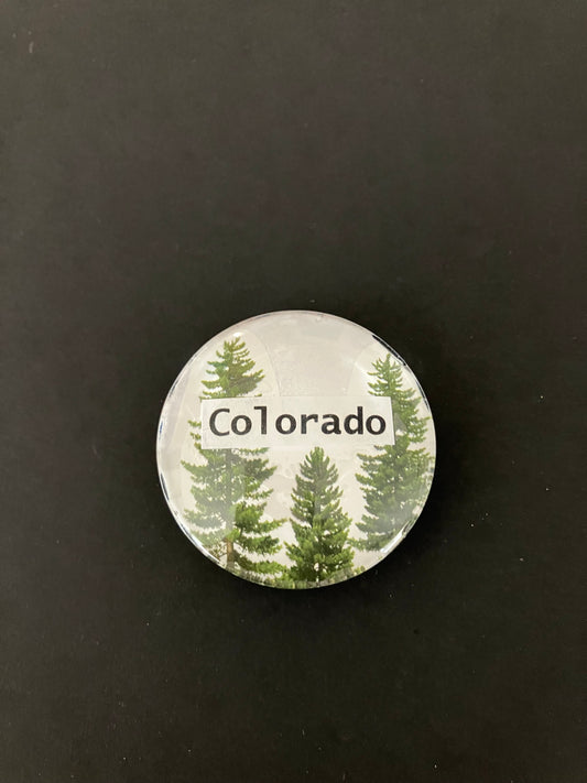 Magnet-Pine/Evergreen Trees-Colorado